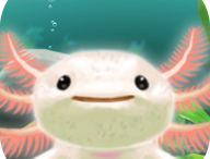 《治愈的蝾螈》安卓版下载：轻松愉悦的休闲益智游戏