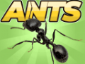 口袋蚂蚁模拟器下载：探索蚂蚁地下世界的动作射击游戏