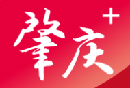 肇庆+APP下载：一站式获取肇庆权威资讯与生活服务