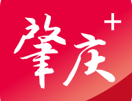 肇庆+APP下载：一站式获取肇庆权威资讯与生活服务