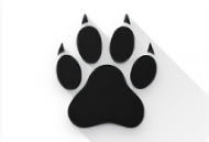 amarok隐藏软件：Android上的文件隐私保护工具