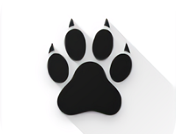 amarok隐藏软件：Android上的文件隐私保护工具