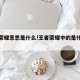 王者荣耀意思是什么!王者荣耀中的是什么意思
