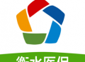 衡水医保中心软件下载与查询指南