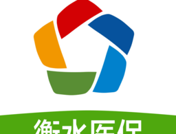 衡水医保中心软件下载与查询指南