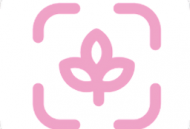 最美主题壁纸app下载 - 精选高清壁纸，个性化手机装饰