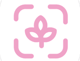 最美主题壁纸app下载 - 精选高清壁纸，个性化手机装饰