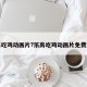乐高吃鸡动画片?乐高吃鸡动画片免费观看