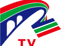 冀云赵州app：下载新闻阅读神器，随时随地掌握本地新鲜事