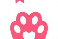 喵爪小说app官方下载免费安装