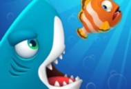 萌鱼泡泡乐最新版下载 - 安卓休闲益智吞噬游戏