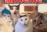 猫Meme搞怪冒险手机版下载