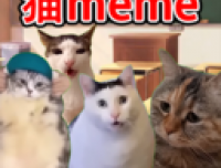 猫Meme搞怪冒险手机版下载