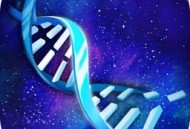 物种起源手游下载 - 休闲益智的进化之旅