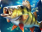 抖音欢乐钓鱼大师 - 下载钓鱼游戏，体验钓鱼乐趣