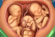 立即手术医院游戏：体验医生经营挑战