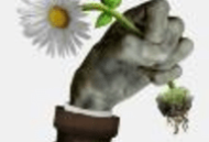 植物大战僵尸重生最终版下载：战略塔防游戏的新篇章