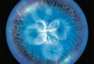 全民星球模拟器下载体验与虚拟现实探险乐趣