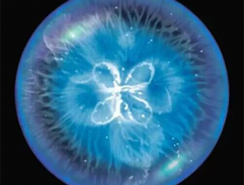 全民星球模拟器下载体验与虚拟现实探险乐趣