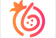 石榴惠选平台下载 - 优质购物体验的创新电商软件