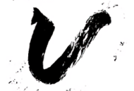 vinci手机版下载：免费照片编辑应用