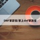 DNF掌游宝/掌上dnf掌游宝