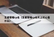 王者荣耀cp名（王者荣耀cp名片上红心是什么）