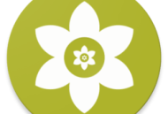 安装狮安卓版下载，手机应用下载与管理工具