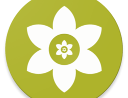 安装狮安卓版下载，手机应用下载与管理工具