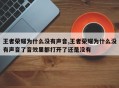 王者荣耀为什么没有声音,王者荣耀为什么没有声音了音效里都打开了还是没有