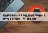 王者荣耀为什么没有声音,王者荣耀为什么没有声音了音效里都打开了还是没有