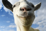 模拟山羊MMO游戏下载体验与攻略