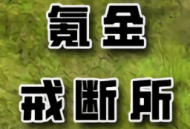 氪金戒断所游戏下载 - 冒险解谜探索之旅