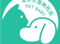 宠贝贝宠物托运平台下载：专业的宠物托运服务