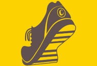 金步计步器手机版下载 - 安卓运动健身应用