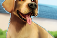 小小动物医院游戏：扮演医生，体验动物医疗乐趣