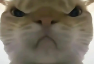 三角洲行动鼠鼠工具游戏辅助下载