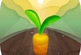 谨慎耕耘安卓版下载体验——模拟种植的游戏