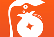 陌收银app下载：高效收款，轻松管理