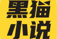 黑猫小说免费阅读app：海量书籍资源，纯净阅读环境