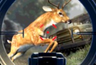 猎杀游戏下载 - 安卓动作射击游戏免费下载体验