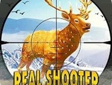 非常野生猎鹿模拟器最新版下载