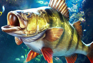 Fish On - 安卓休闲益智游戏下载