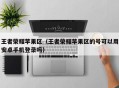 王者荣耀苹果区（王者荣耀苹果区的号可以用安卓手机登录吗）