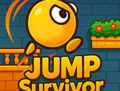 跳跃幸存者安卓下载：休闲益智闯关游戏