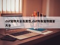 dnf宠物大全及属性,dnf所有宠物图鉴大全