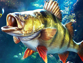 欢乐钓鱼大师官网版下载 - 安卓休闲钓鱼游戏