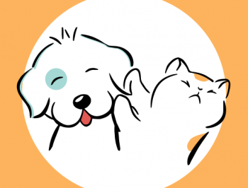 萌萌窝app下载：宠物互动社交平台，记录温馨瞬间