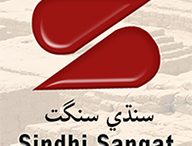 Learn Sindhi app下载指南与教程