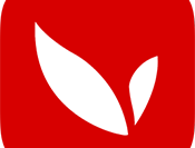 月光影视：免费在线观看国内外热门影视作品